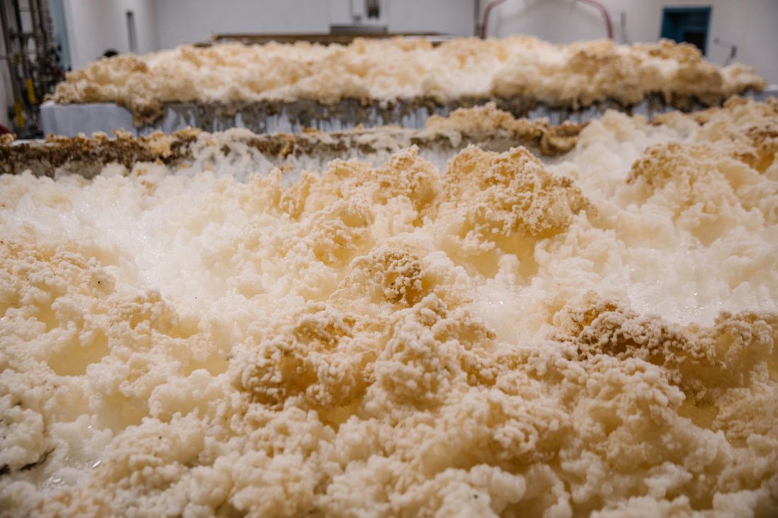 啤酒發酵過程